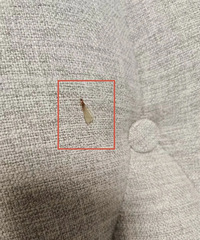 �ش������ţ�����ܶ������˱�����Ϯ����