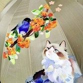 Ů�����һ���ר��Сɡ
