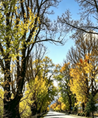 ���˵���ȥ����
