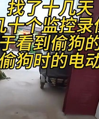 [����]���������ͷ�����Ϸ���͵�ߣ�����180Ԫ��ɱ����