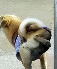[��ע]���������޹������ɱ��������������۲���ȫ���̯
