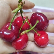 ��ӣ�ҳ���������