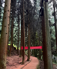 �����A��-����20km