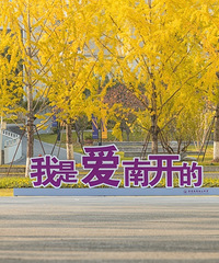 �Ͽ����������ҵ�ɼ�