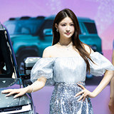 2026���쳵չ��ģ