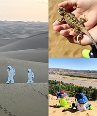 ��پ�ȥɳĮ��ˣ�³�����