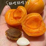 �½�С���ӺóԵ�����