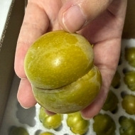 ���ڷ�����ȷʵ�ó�