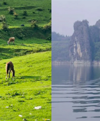 �ܱ�������ȥ�����Լ���2����