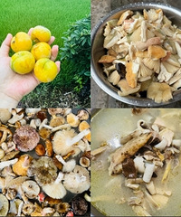 Ϊ���Լ�ժ�ļ��ȣ��׼���һֻ��ĸ��