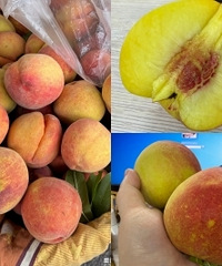 6��Ǯ�Ļ����ִ�����
