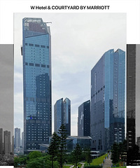 W Hotel��3��ȹ¥�������ѳ���