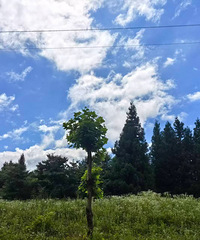 ��ȥ����Iȫ���ˣ��ҬF(xi��n)�ڴ����L(f��ng)�������ɵ�