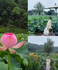 ���쿴�ɻ����ÿ������ĺܳ�Ƭ