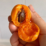 �½�����С����̫����