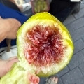 �Ե���Ư�����޻���