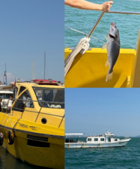 �ൺ��ˣ�£����һ�ɫ������ȥ����