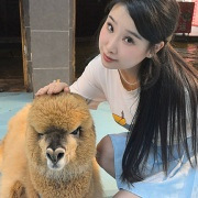 36�궺����������