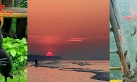 ȥ����ѽ��ˣ�ºö࣬���̺��ʴ�ͳԵ�ˬ