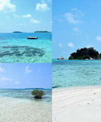 �żӴ�ǧ��Ⱥ��һ��һ�Ƶ꣬6���˾�9ǧ�㶨