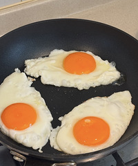 ��֬�ڵ���˵˵������ˮ�󵰻���ʲô���ʵ��ף�