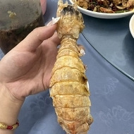 ���̺��ʳԵ��е��