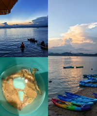 ���޺��ϸϺ��ջ�����������һ��Ͱ�з