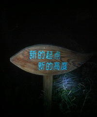 夜登杏梅尖