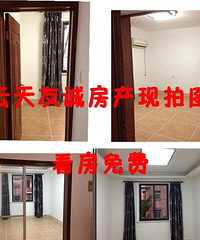 市中心市心路 3室1厅80平米 精装修 年付