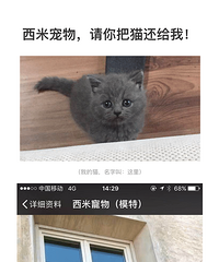 [����]������è����������δ���мҲ��ܻ�