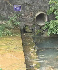 ſڵ峺СϪΪα÷ڷų...