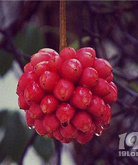 �����ʲô���ж����ٰ���֪��