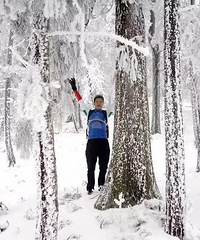 ��������Ҫ��ѩ�������±�����0�棬������붬��