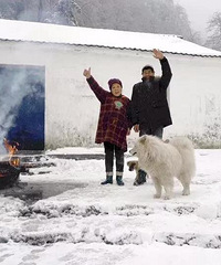 富阳可能要下雪啦!气温暴跌至0℃,后半周入冬!
