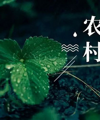 富阳计划三年投资约14.13亿元!事关54万人的饮水问题