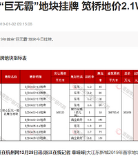 刚看到的杭州地区2019年第一手地块交易