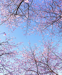 ���»�����ע������ǧĶҰӣ������