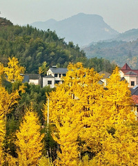 3��23���׷���ζ��ɽ�繫��ר�߽���ͨ��