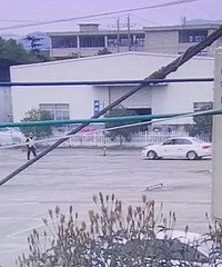 һУץ󱻾15죬2000Ԫ