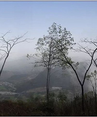 ��ˮ��ɽ���˼ң���ڵ�������