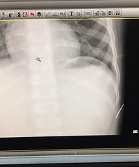 һк캰ʹƬھȻи룡