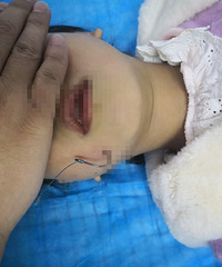 һк캰ʹƬھȻи룡