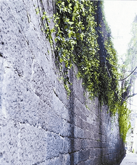 µǽعǽϵĽϹųǡµǰ桰Ϻͼ