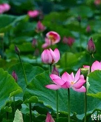 Ͷ��3.5��Ԫ���µ�����ط�Ҫ���조���ֹȡ�