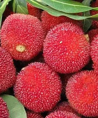 һλ÷ˣҽ˵ûпѧݣ