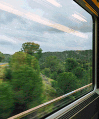 �����˳������±仯�������Ƹ���������Щ�г�......