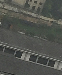 ������ǳǱ���԰��