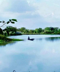 ���º������������һ��