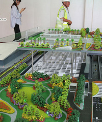 ���Ƹ�������վվǰ�㳡���̳��γ���