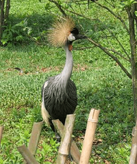 ��������Щ����ĵط���ȥ����Ͷ��ˣ�